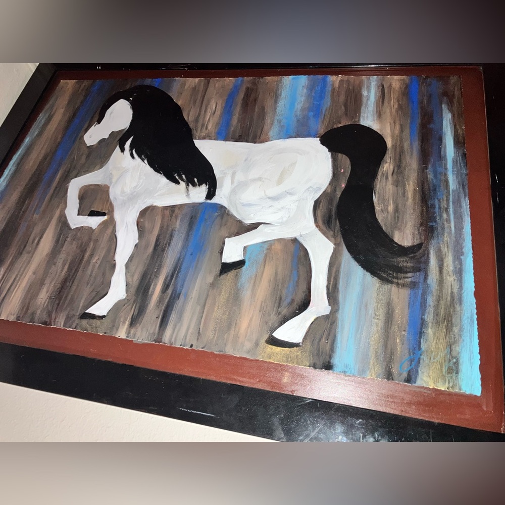 White horse with black hair and multi colored background